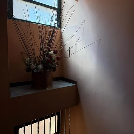 Coronari Relais 公寓 罗马